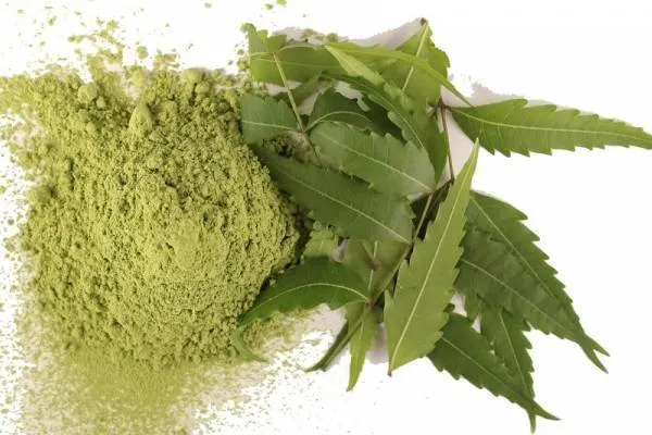 Neem Powder